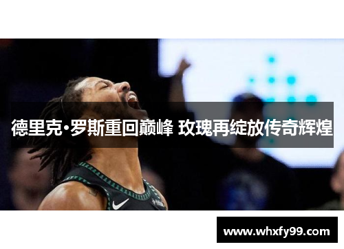 德里克·罗斯重回巅峰 玫瑰再绽放传奇辉煌